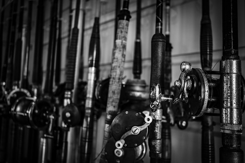 Loja de caça e pesca com equipamentos organizados e exposição profissional